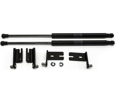 Газовые упоры капота АвтоУпор для Renault Kaptur (искл. Extreme) 2016-2020, 2 шт., UREKAP011