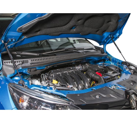 Газовые упоры капота АвтоУпор для Renault Kaptur (искл. Extreme) 2016-2020, 2 шт., UREKAP011