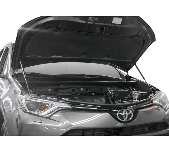 Газовые упоры капота АвтоУпор для Toyota RAV 4 CA40 2012-2019, 2 шт., UTORAV013