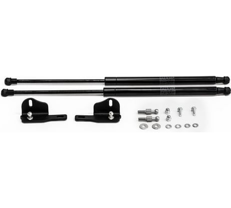 Газовые упоры капота АвтоУпор для Lada Xray 2015-н.в./Xray Cross 2018-н.в., 2 шт., ULAXRA011