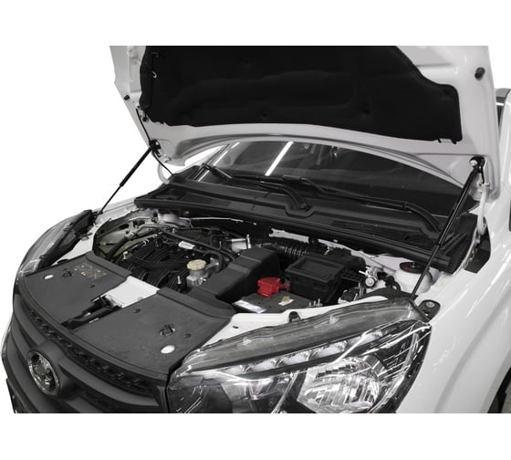 Газовые упоры капота АвтоУпор для Lada Xray 2015-н.в./Xray Cross 2018-н.в., 2 шт., ULAXRA011