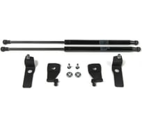 Газовые упоры капота АвтоУпор для Volkswagen Tiguan I рестайлинг 2011-2017, 2 шт., UVWTIG012