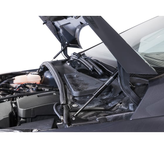 Газовые упоры капота АвтоУпор для Ford Focus III 2011-2019, 2 шт., UFDFOC021