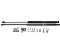 Газовые упоры капота АвтоУпор для Chevrolet Niva 2002-2020, 2 шт., UCHNIV011