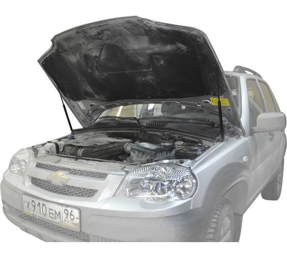 Газовые упоры капота АвтоУпор для Chevrolet Niva 2002-2020, 2 шт., UCHNIV011