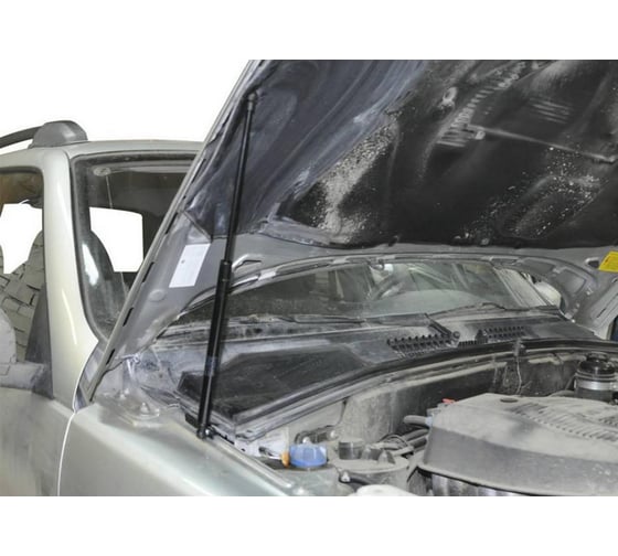 Газовые упоры капота АвтоУпор для Chevrolet Niva 2002-2020, 2 шт., UCHNIV011
