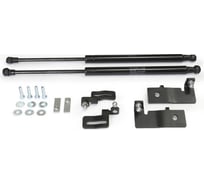 Газовые упоры капота АвтоУпор для Chevrolet Cruze I 2009-2015, 2 шт., UCHCRU012