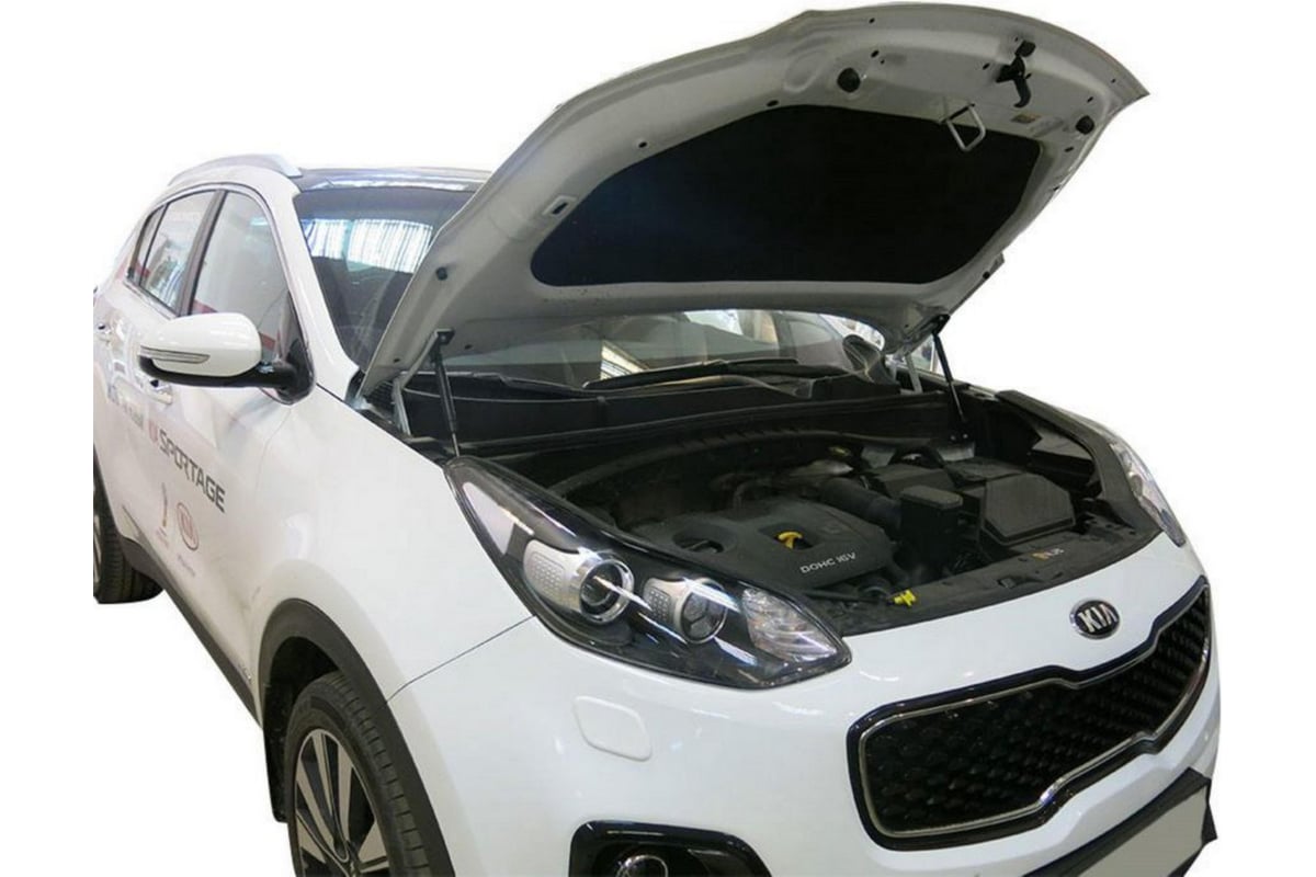 Купить Амортизаторы Капота На Киа