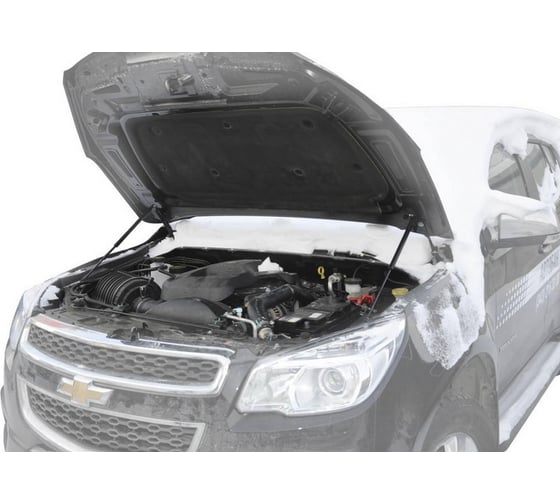 Газовые упоры капота АвтоУпор для Chevrolet TrailBlazer II 2012-2016, 2 шт., UCHTRA012