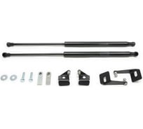 Газовые упоры капота АвтоУпор для Mitsubishi Lancer X 2007-2015, 2 шт., UMILAN012