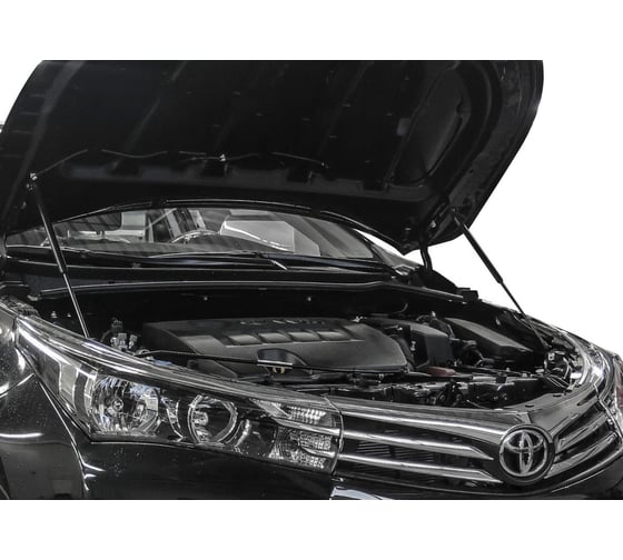 Газовые упоры капота АвтоУпор для Toyota Corolla E160, E170,  E180 2012-2019, 2 шт., UTOCOR013