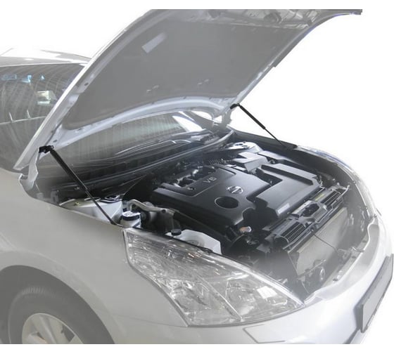 Газовые упоры капота АвтоУпор для Nissan Teana II 2008-2014, 2 шт., UNITEA012