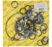 РК прокладок ТНВД Riginal для КАМАЗ 4310,5315,5320,53212,5410,54112,55102,5511, 14 шт. RG33-1111009