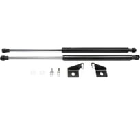Газовые упоры капота АвтоУпор для Chevrolet Aveo T300 2011-2015, 2 шт., UCHAVE011