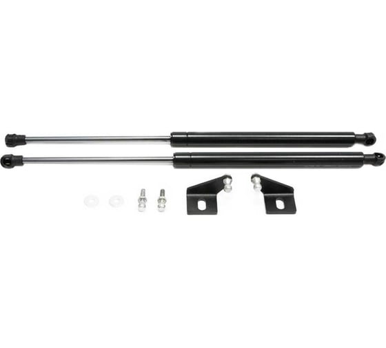 Газовые упоры капота АвтоУпор для Chevrolet Aveo T300 2011-2015, 2 шт., UCHAVE011 1
