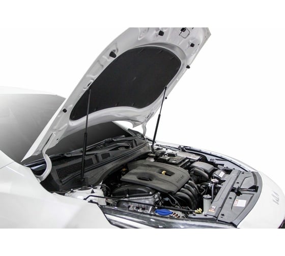 Газовые упоры капота АвтоУпор для Kia Cerato IV 2018-н.в., 2 шт., UKICER021