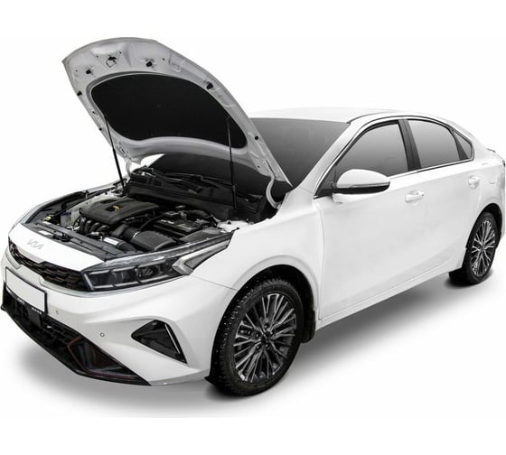 Газовые упоры капота АвтоУпор для Kia Cerato IV 2018-н.в., 2 шт., UKICER021