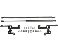 Газовые упоры капота АвтоУпор для Toyota RAV 4 XA30 2005-2010, 2 шт., UTORAV021