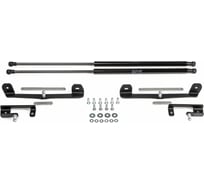 Газовые упоры капота АвтоУпор для Kia Ceed III 2018-н.в., 2 шт., UKICEE021