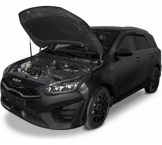 Газовые упоры капота АвтоУпор для Kia Ceed III 2018-н.в., 2 шт., UKICEE021
