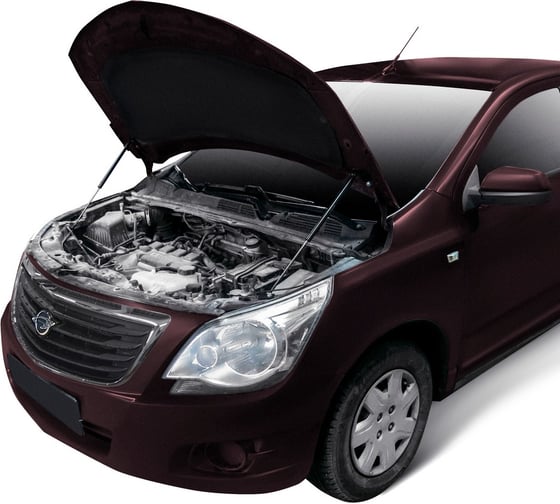 Газовые упоры капота АвтоУпор для Ravon R4 2016-н.в., 2 шт., URAR4011