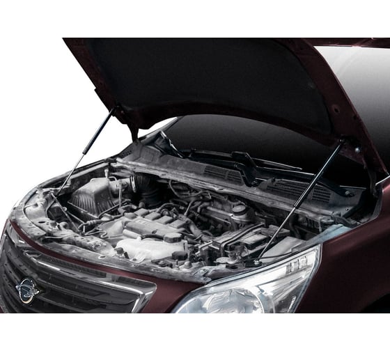 Газовые упоры капота АвтоУпор для Ravon R4 2016-н.в., 2 шт., URAR4011
