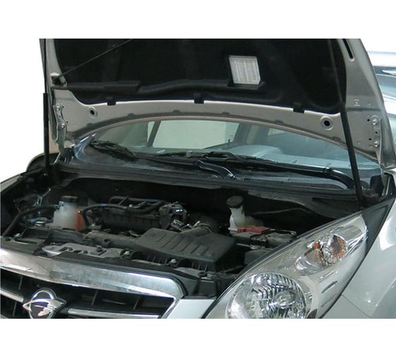 Газовые упоры капота АвтоУпор для Ravon R2 2016-н.в., 2 шт., URAR2011
