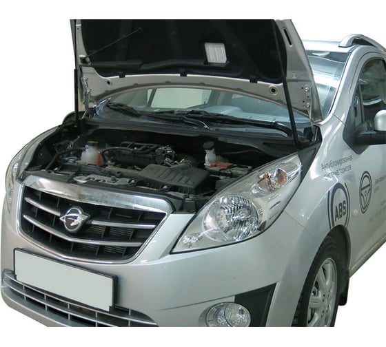 Газовые упоры капота АвтоУпор для Ravon R2 2016-н.в., 2 шт., URAR2011