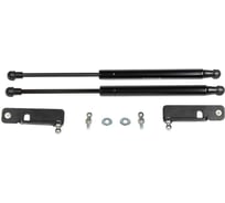 Газовые упоры капота АвтоУпор для Ford Ranger III 2011-2015, 2 шт., UFDRAN011