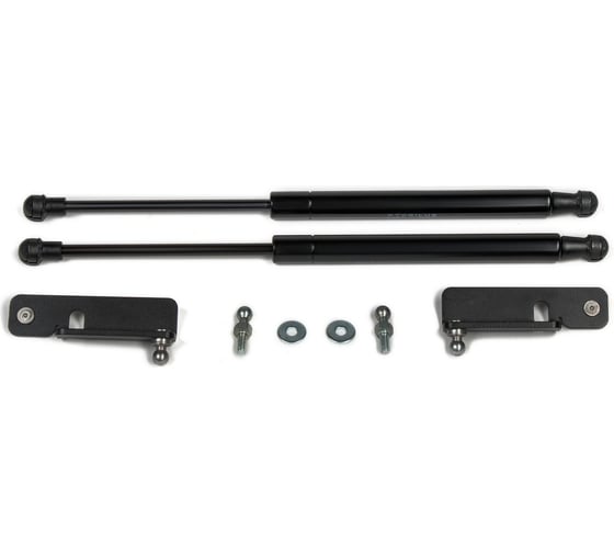 Газовые упоры капота АвтоУпор для Ford Ranger III 2011-2015, 2 шт., UFDRAN011