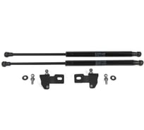 Газовые упоры капота АвтоУпор для Ravon Nexia R3 2016-н.в., 2 шт., URAR3011