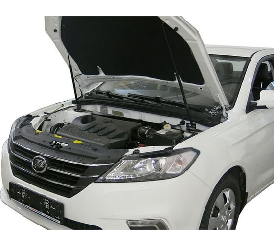 Газовые упоры капота АвтоУпор для Lifan Solano II 2016-н.в., 2 шт., ULISOL011