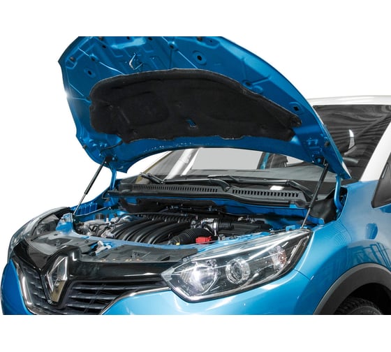 Газовые упоры капота АвтоУпор для Renault Kaptur (вкл. Extreme) 2016-2020, 2 шт., UREKAP021