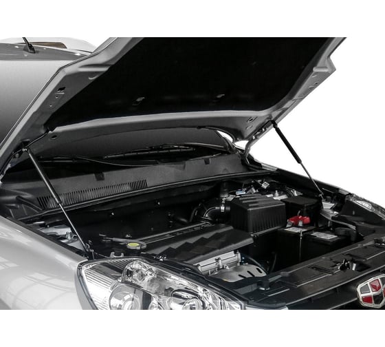 Газовые упоры капота АвтоУпор для Geely Emgrand X7 2013-2018, 2 шт., UGEEMG012