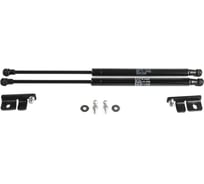 Газовые упоры капота АвтоУпор для Lifan X70 2017-н.в., 2 шт., ULIX70011