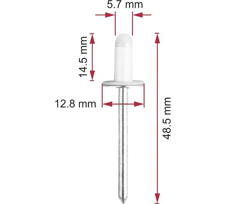 Клепка лючка бензобака Avers 10 шт. 9026906013-10