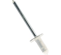 Клепка лючка бензобака Avers 50 шт. 9026906013-50