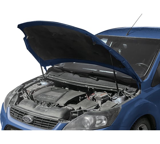 Газовые упоры капота АвтоУпор для Ford Focus II 2005-2011, 2 шт., UFDFOC013