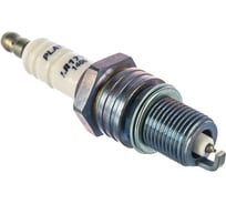 Свеча зажигания PLATIN (ГАЗ; 406/инжектор) BRISK 1406 LR17YP-N