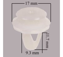 Клипса TOYOTA 245 SKYWAY S05601245