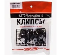 Клипса TOYOTA 191 SKYWAY S05601191