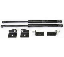 Газовые упоры капота АвтоУпор для Citroen C4 II 2010-2016, 2 шт., UCIC4011