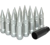 Комплект гаек тип Пика М12х1.5, Дакромет 20шт+1ключ STARLEKS KK911945SD/DAG