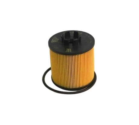 Фильтр масляный AUDI A3 1.6 FSI 03-07; SKODA Fabia II BIG FILTER GB1199