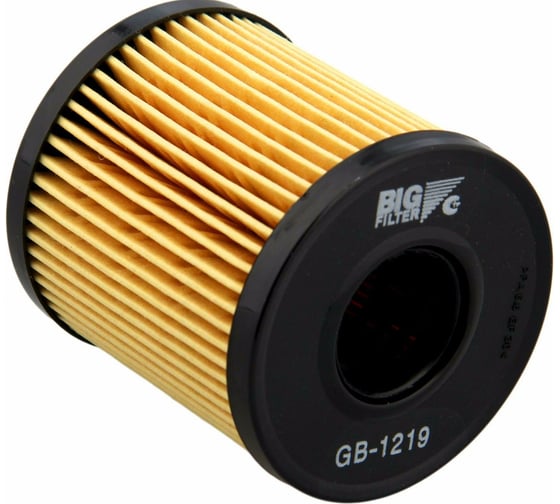 Фильтр масляный FORD Focus/C-MAX 2.0 TDCi/Mondeo IV 07-; CITROEN C2/C3/C4 BIG FILTER GB1219 1