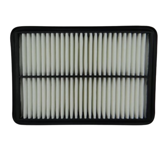Фильтр воздушный HYUNDAI Tucson; KIA Sportage 04 BIG FILTER GB9616