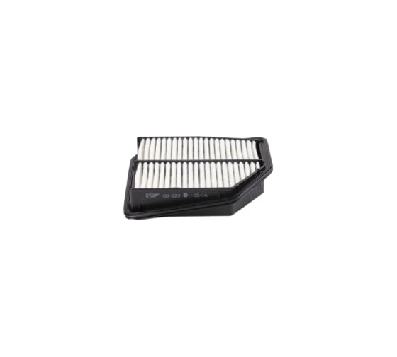 Фильтр воздушный SUZUKI Grand Vitara 2.4/3.2L 08 BIG FILTER GB923