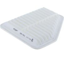 Фильтр воздушный TOYOTA Camry 06-; RAV4 lll 06 2.0VVTi BIG FILTER GB901