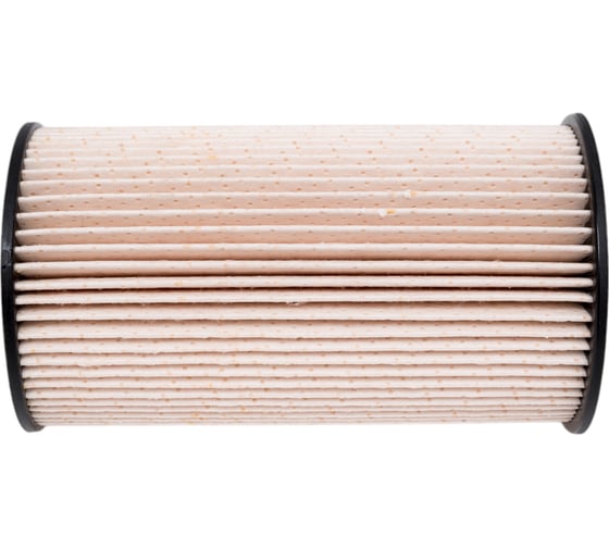 Фильтр топливный AUDI A3, TT II, SEAT Altea, Leon II, Toledo III, SKODA Octavia II BIG FILTER GB6110