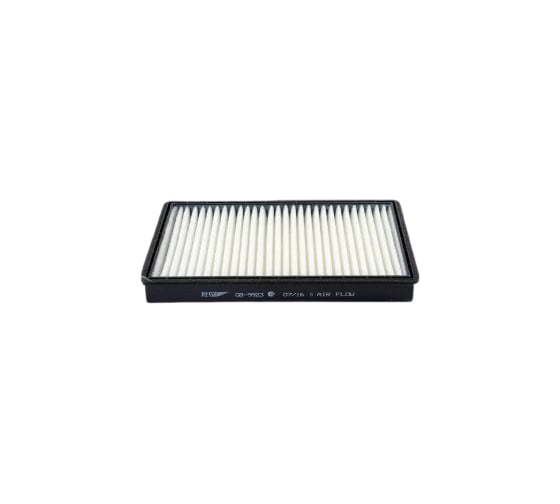 Фильтр салона CHEVROLET Captiva 07, OPEL Antara 06 BIG FILTER GB9923 1